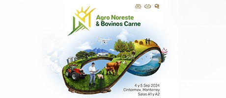 Agro Noreste & Bovinos Carne