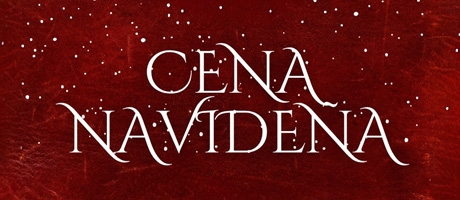 MS Milenium - Cena Navideña