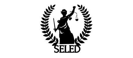 Diplomado Corporativo SELED