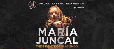 Maria Juncal Flamenco