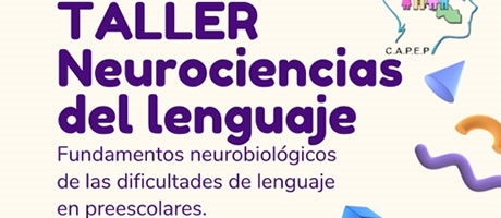 Neurociencias del lenguaje