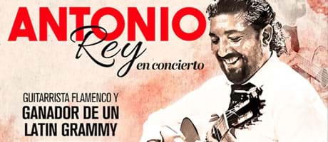 Antonio Rey en concierto