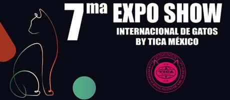 7ma Expo Show Internacional de Gatos by Tica de México